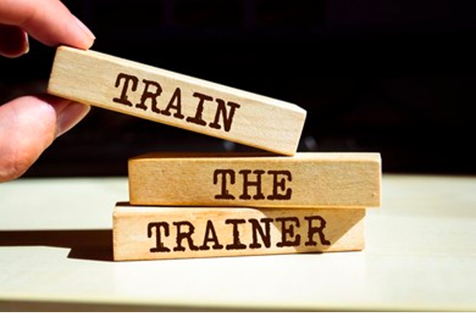 Train the Trainer (ENG)